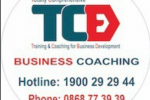 logo TCBD avatar