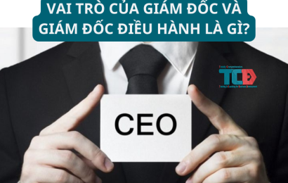 vai trò của giám đốc và giám đốc điều hành là gì?