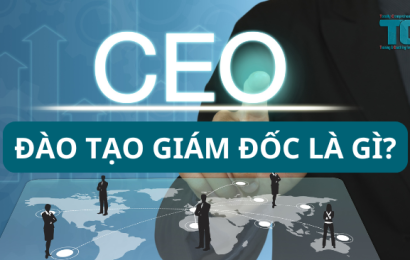 Đào tạo giám đốc là gì?