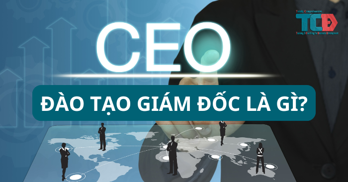 Đào tạo giám đốc là gì?