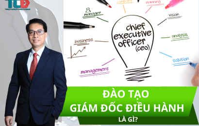 đào tạo giám đốc điều hành là gì?