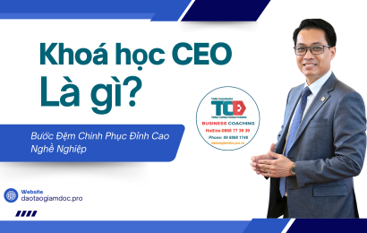 Khóa Học CEO Là Gì?